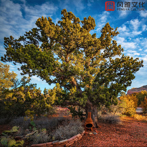 酷友同志登录入口
